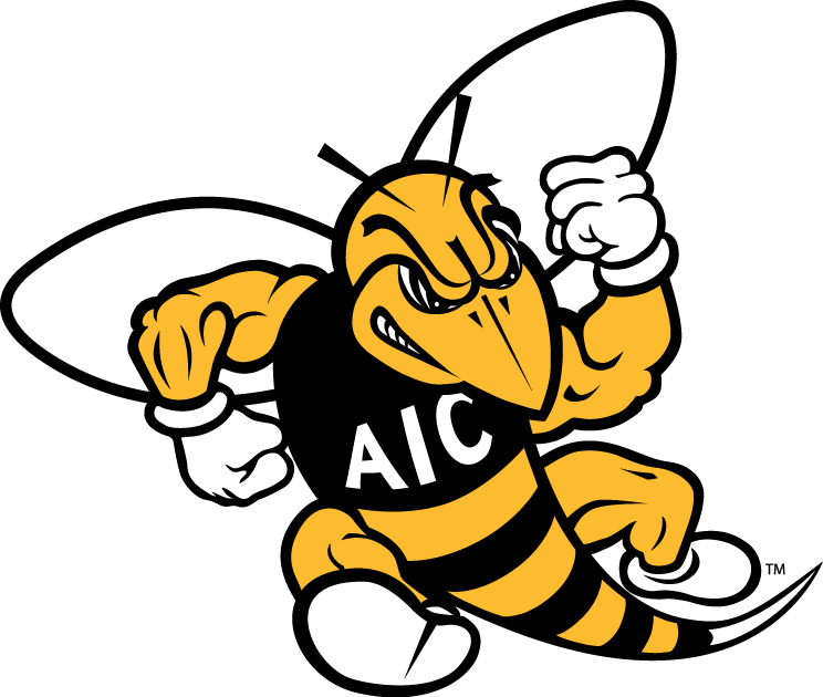 AIC Yellow Jackets 2009-Pres Primary Logo iron on transfers for T-shirts